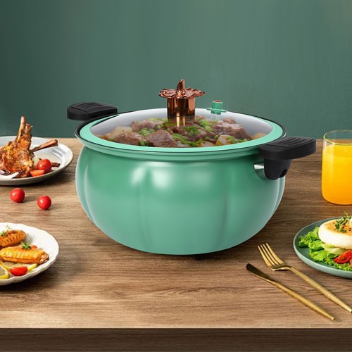 Micro pressure cooker - micro,