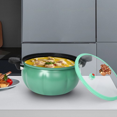 Micro pressure cooker - pressure,